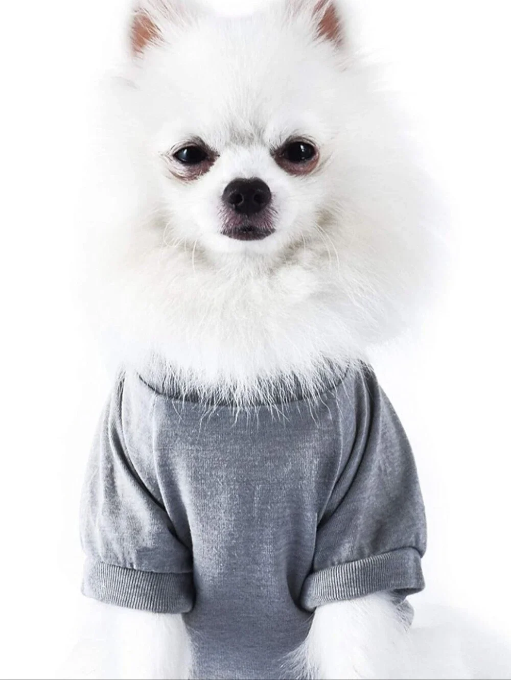 Dogs' Grey 'Fluffy Side' Chewbacca Graphic Tee